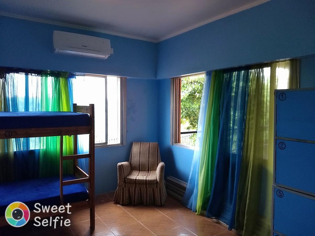 Butterfly Hostel 伊瓜苏港 外观 照片