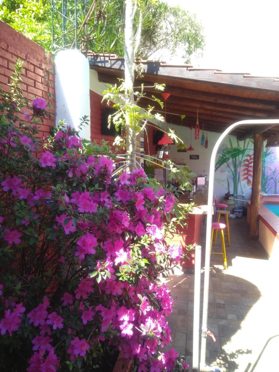 Butterfly Hostel 伊瓜苏港 外观 照片