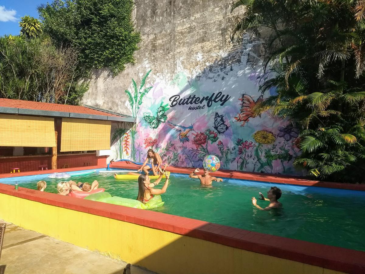 Butterfly Hostel 伊瓜苏港 外观 照片